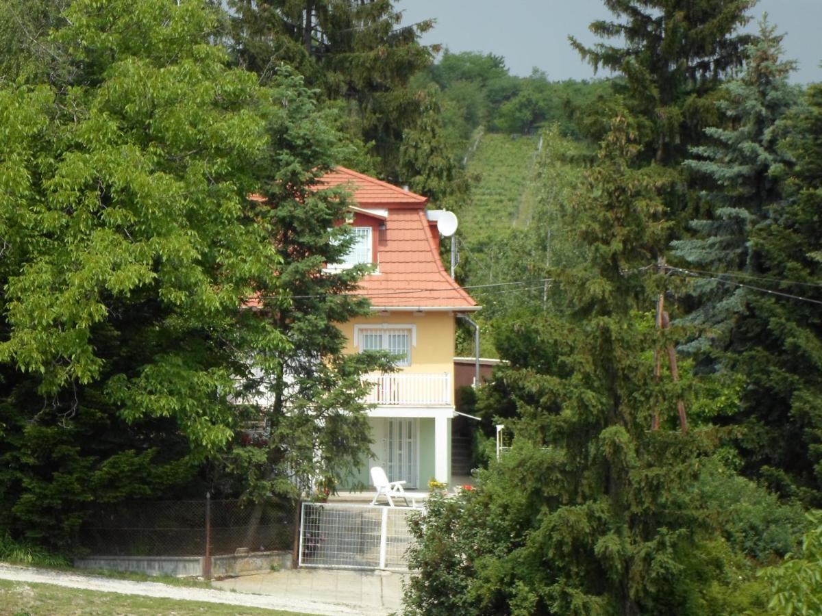 Naposdomb Vendeghaz * Miszkolc